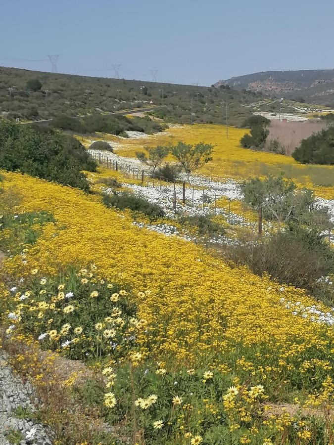Bokkomblommetjie Lambertʼs Bay Eksteriør bilde